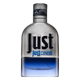 Just Cavalli Him 2013 woda toaletowa dla mężczyzn