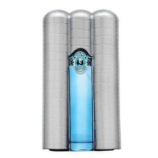 Prestige Platinum woda toaletowa dla mężczyzn