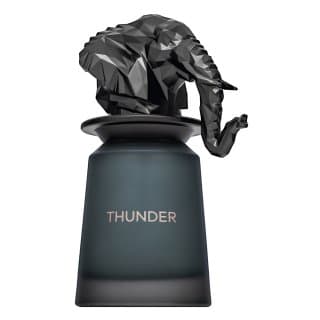 Thunder woda perfumowana dla mężczyzn