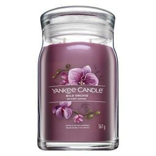 Wild Orchid