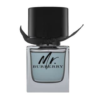 Mr. Burberry woda toaletowa dla mężczyzn