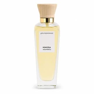 Agua Fresca de Mimosa Coriandro woda toaletowa dla kobiet